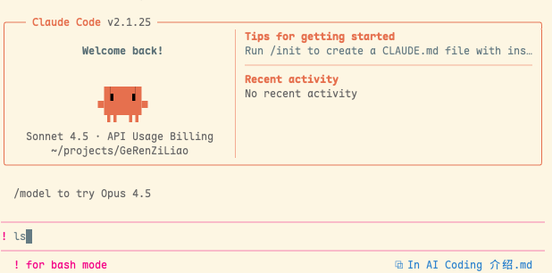 Claude Code CLI Bash 模式